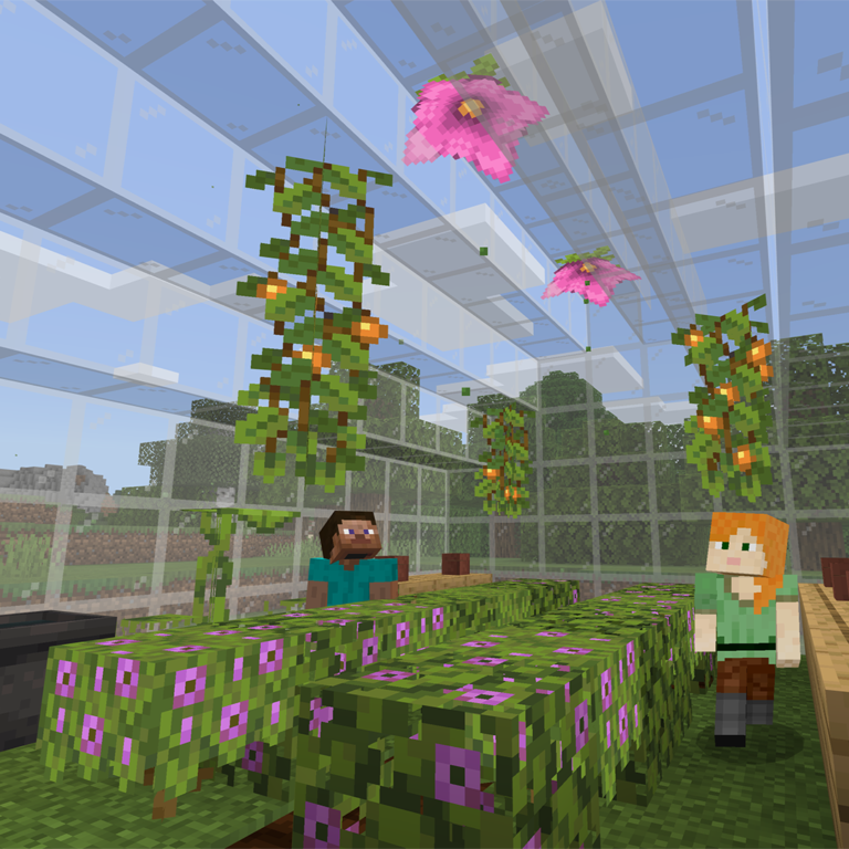 Curs d'Iniciació a Minecraft de l'intinerari que mostra un jardí interior amb parets i sostre de vidre. Hi ha dos personatges de joc presents, un amb cabells marrons i l’altre amb cabells taronja i roba verda. El jardí conté diverses plantes, incloent-hi flors altes amb flors roses i tiges verdes, així com plantes més curtes amb flors liles. També es poden veure un cofre de fusta i una taula d’artesania. El terra està cobert de blocs d’herba. Fora de l'hivernacle de vidre, es pot veure un paisatge pixelat de terreny herbat i arbres sota un cel blau.